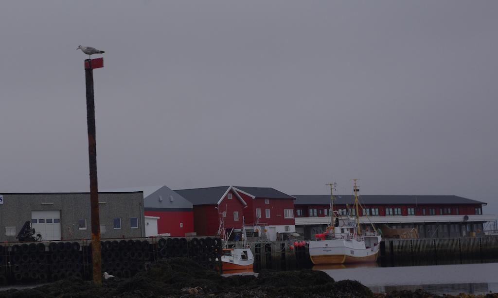 Kaikanten Rorbuer - Rost Aparthotel Exterior photo